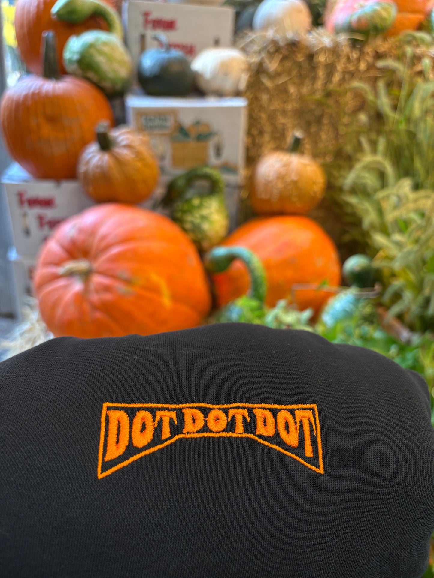 Orange “Stitch” Hoodie